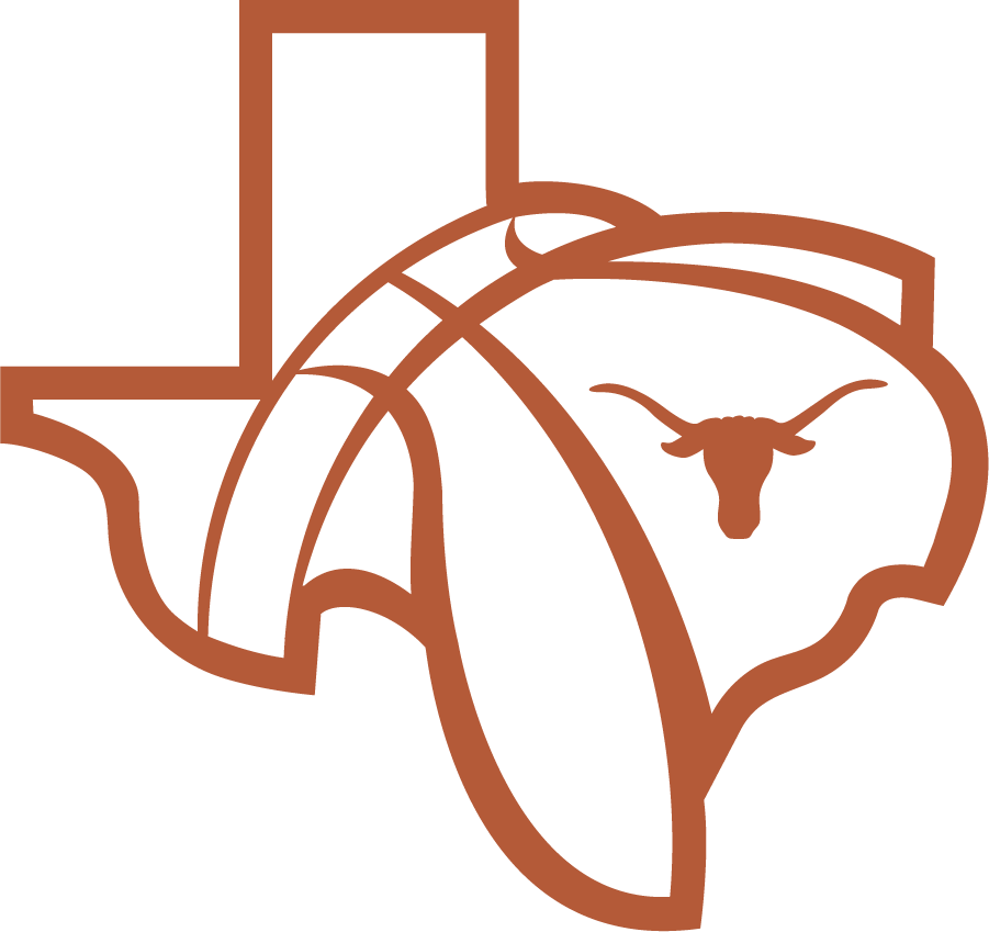 Texas Longhorns 2019-Pres Secondary Logo v3 DIY iron on transfer (heat transfer)